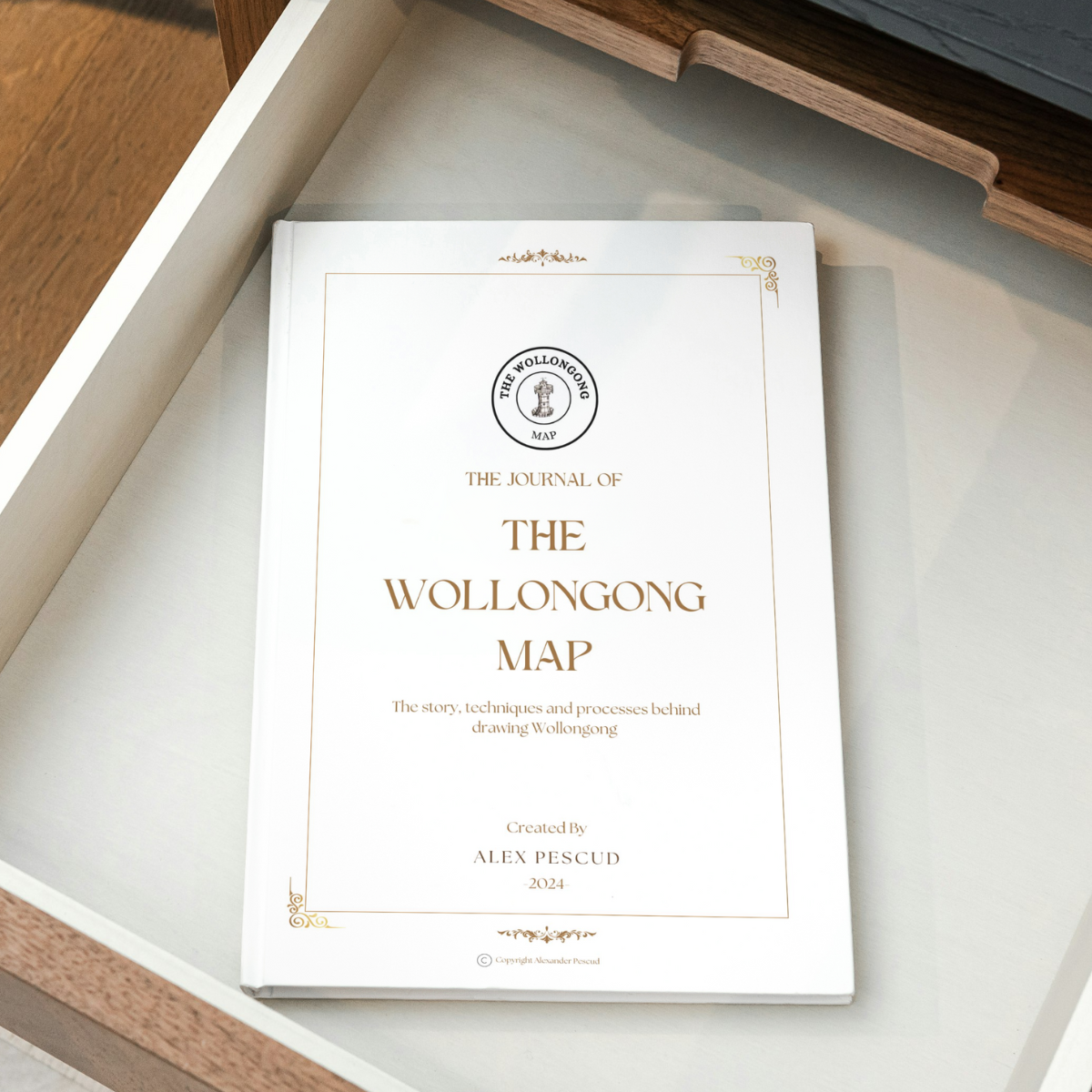 The Wollongong Map: The story, techniques and processes behind drawing Wollongong eBook